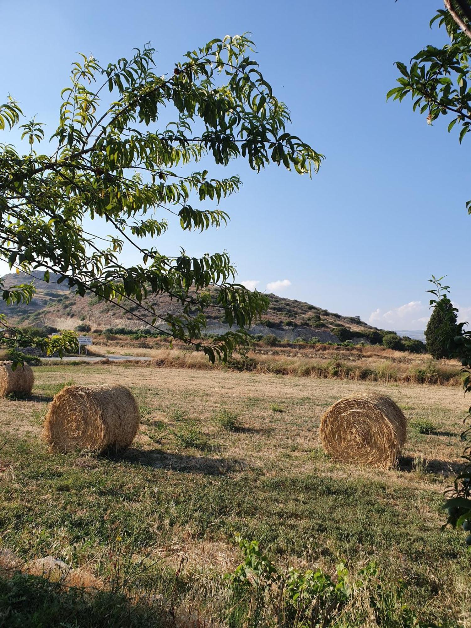 Vina Oliva Resort Писури Екстериор снимка