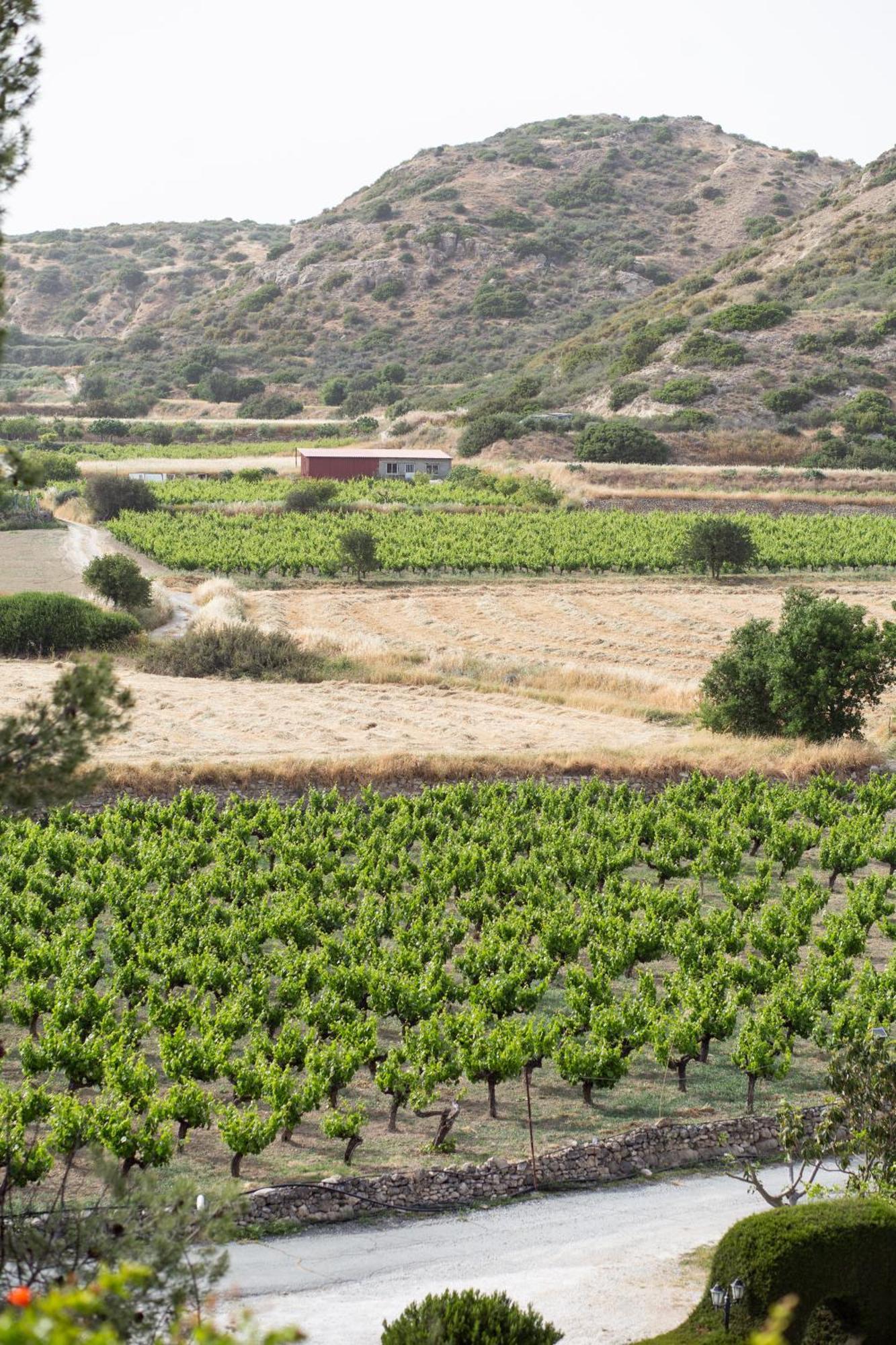 Vina Oliva Resort Писури Екстериор снимка